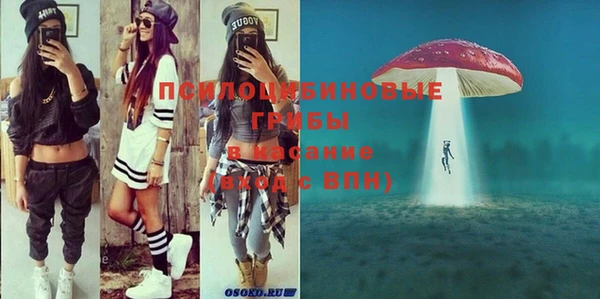 MESCALINE Бородино